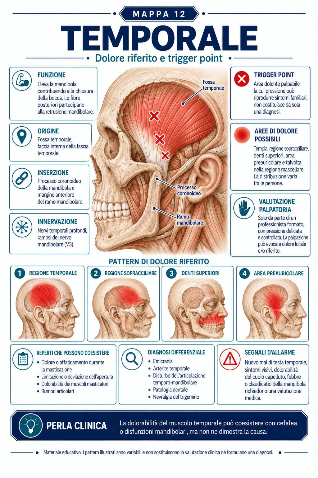 Mapa visual de dor referida e trigger point