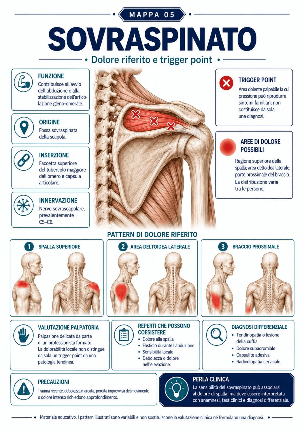 Mapa visual de dor referida e trigger point